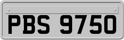 PBS9750