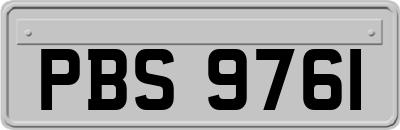 PBS9761