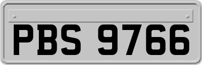 PBS9766