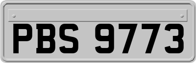 PBS9773