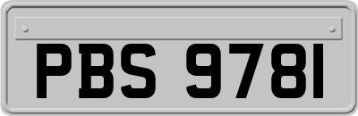 PBS9781