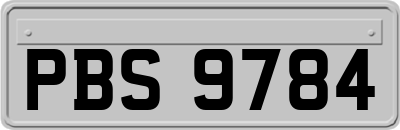 PBS9784