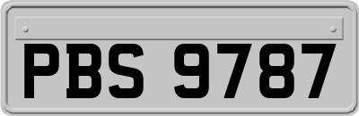 PBS9787