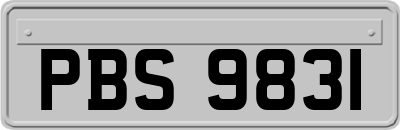 PBS9831