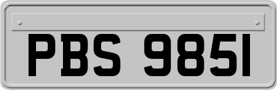 PBS9851