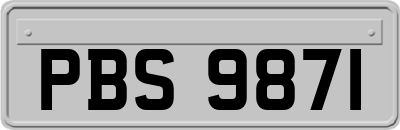 PBS9871