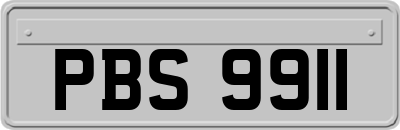 PBS9911