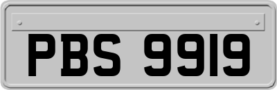 PBS9919