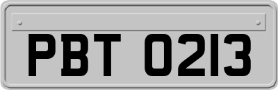 PBT0213