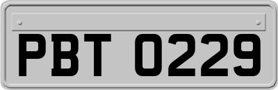 PBT0229