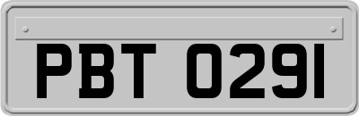 PBT0291