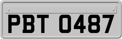 PBT0487