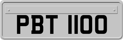 PBT1100