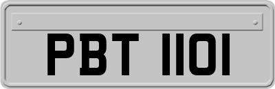 PBT1101