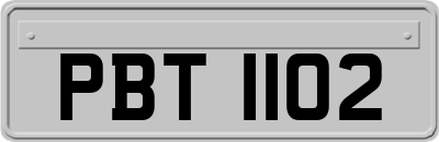 PBT1102