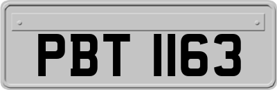 PBT1163