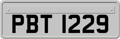 PBT1229