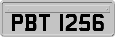 PBT1256