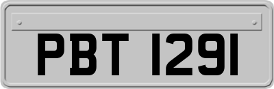 PBT1291