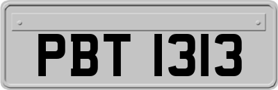 PBT1313