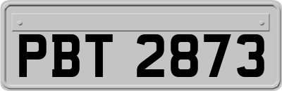 PBT2873