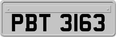 PBT3163