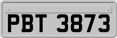 PBT3873