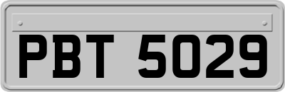 PBT5029