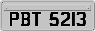 PBT5213