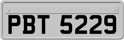 PBT5229