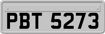 PBT5273