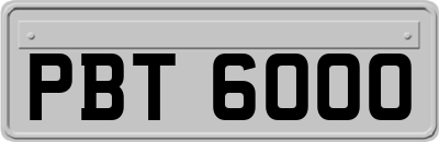 PBT6000