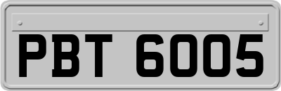 PBT6005