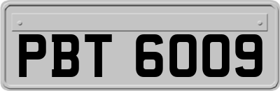 PBT6009