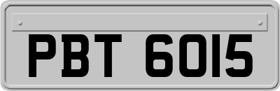 PBT6015