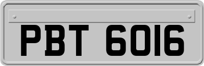 PBT6016