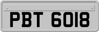 PBT6018