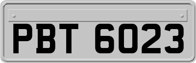 PBT6023