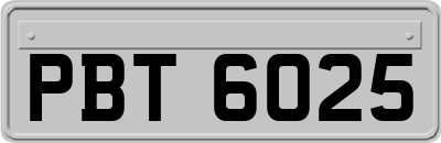 PBT6025