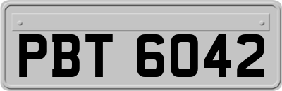 PBT6042