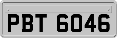 PBT6046