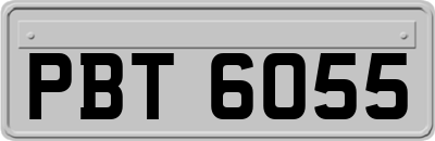 PBT6055