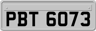 PBT6073