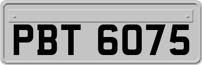 PBT6075