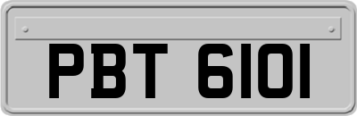 PBT6101