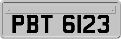 PBT6123