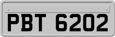 PBT6202