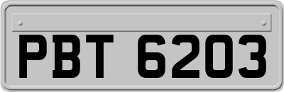 PBT6203