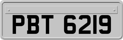 PBT6219