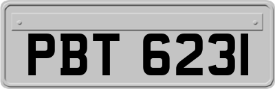 PBT6231